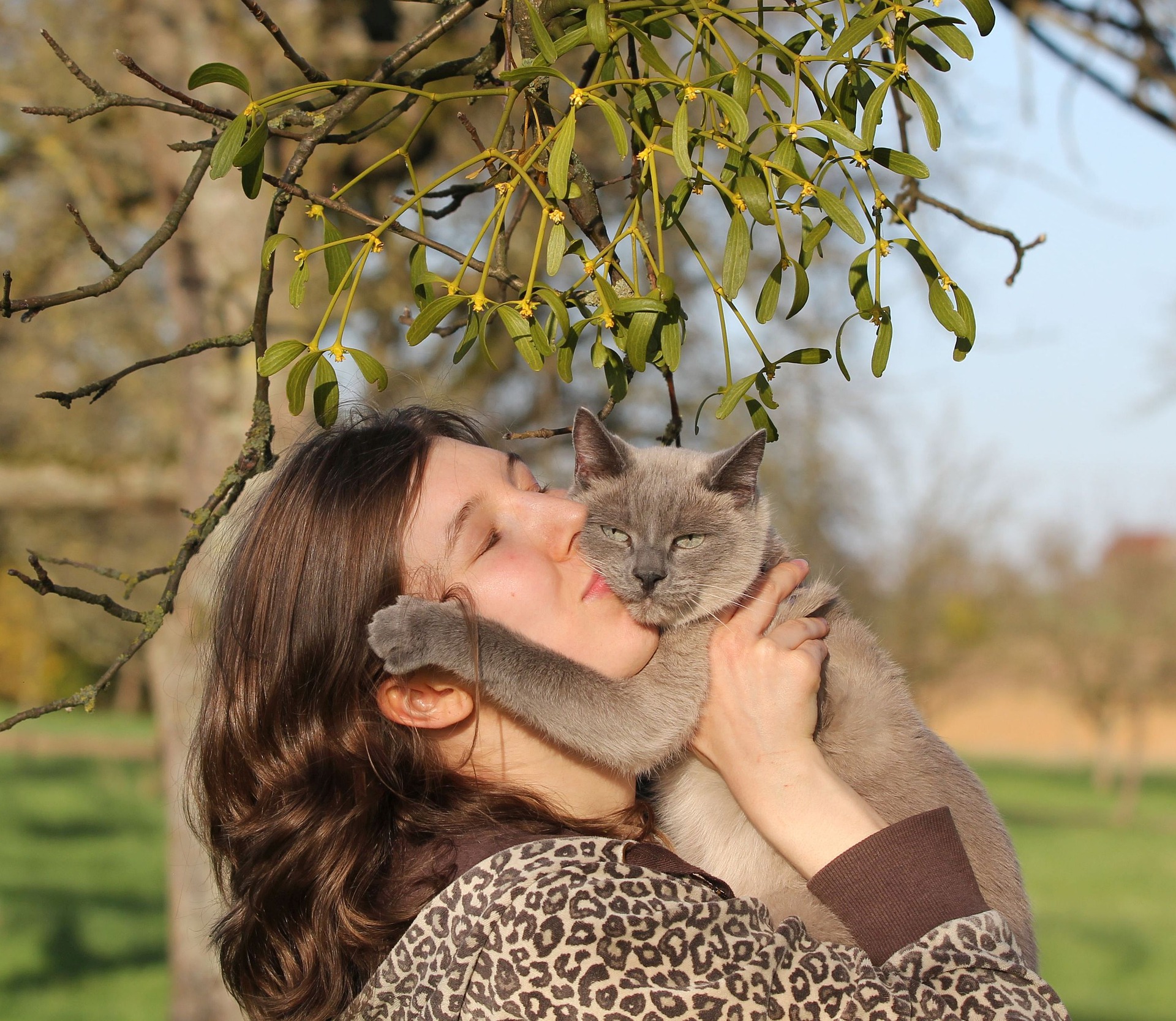Can Cats Understand Human Emotion?